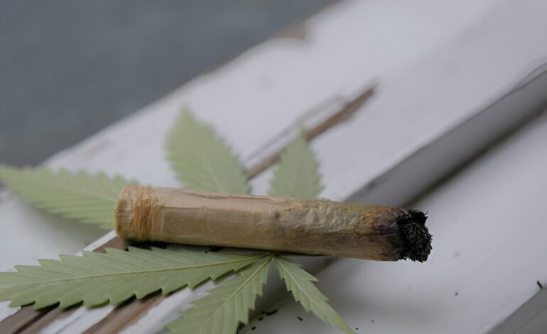 Blunturi: An In-Depth Look for Newcomers