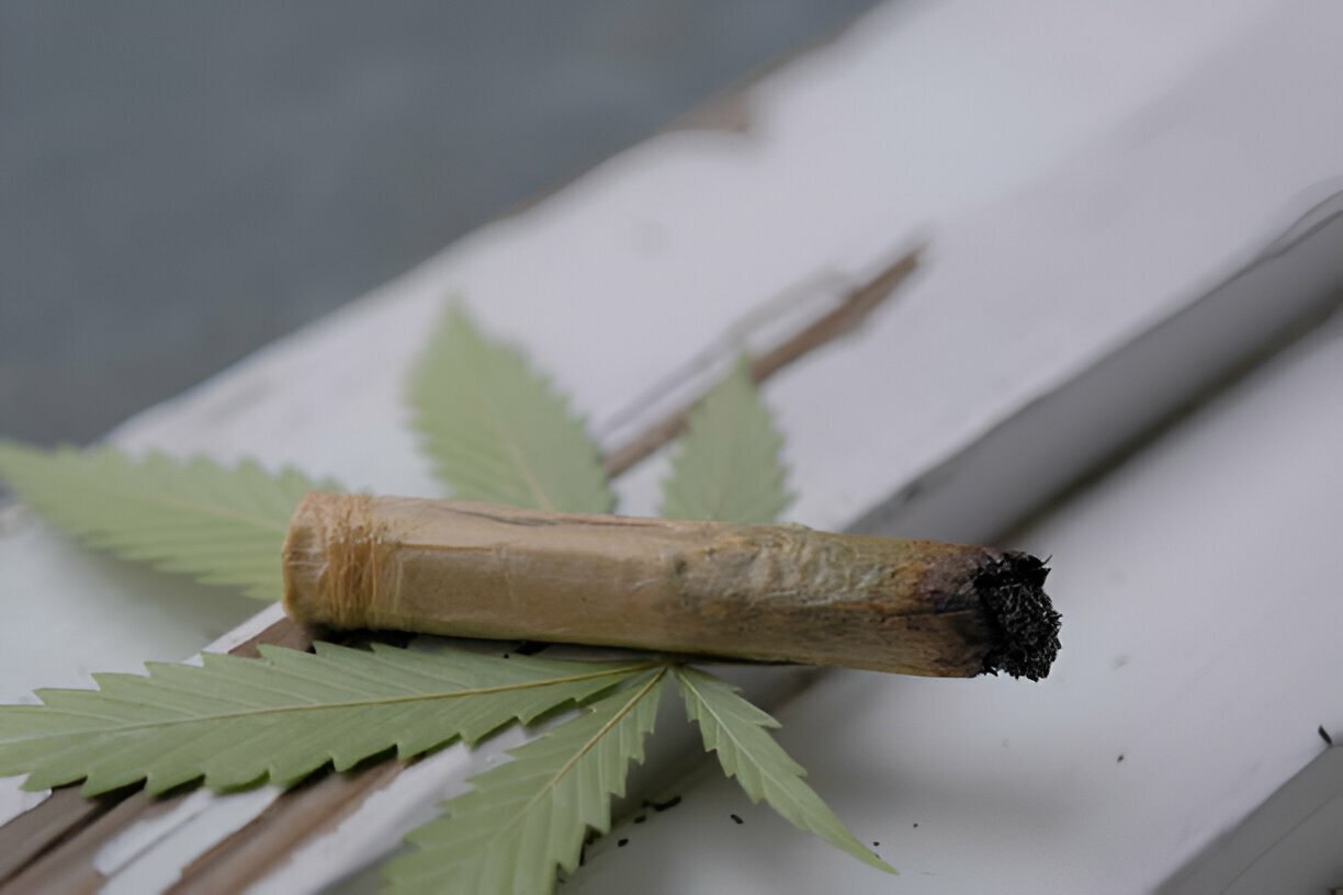 Blunturi: An In-Depth Look for Newcomers