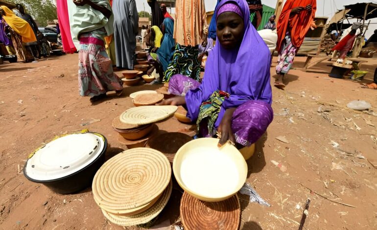 Nunu Drink (Fura De Nunu) is a Must Try Insights and Opinions